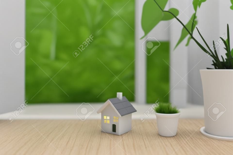 House model miniature