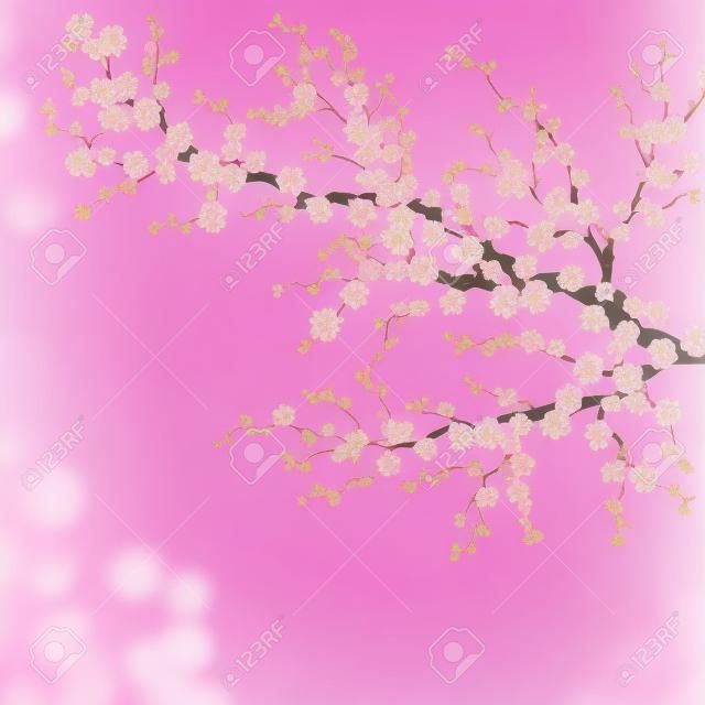 Realistic sakura japan cherry branch. EPS 10