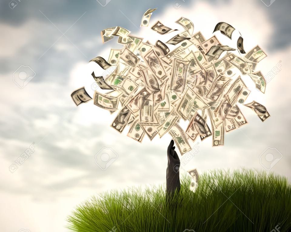 Money tree on natural background