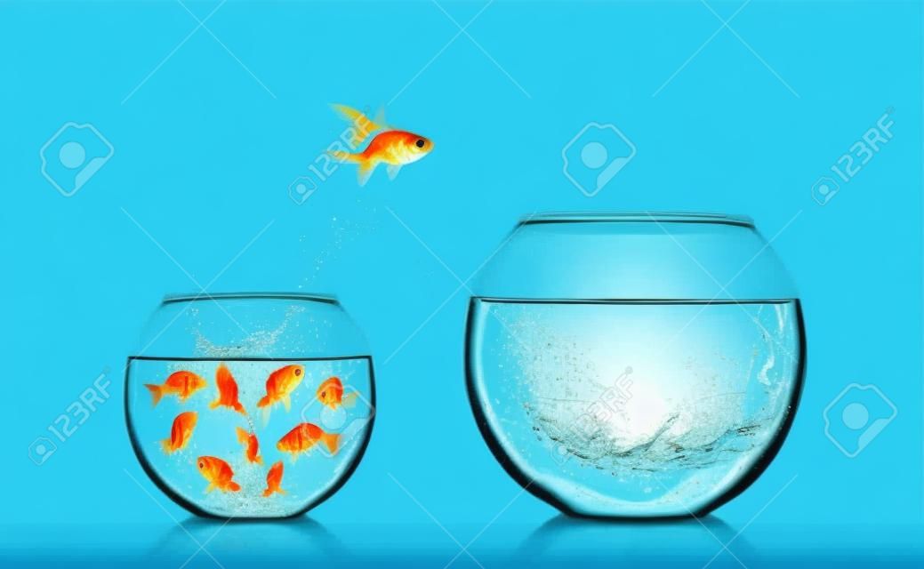 青の背景にガラスの水槽からジャンプ金魚