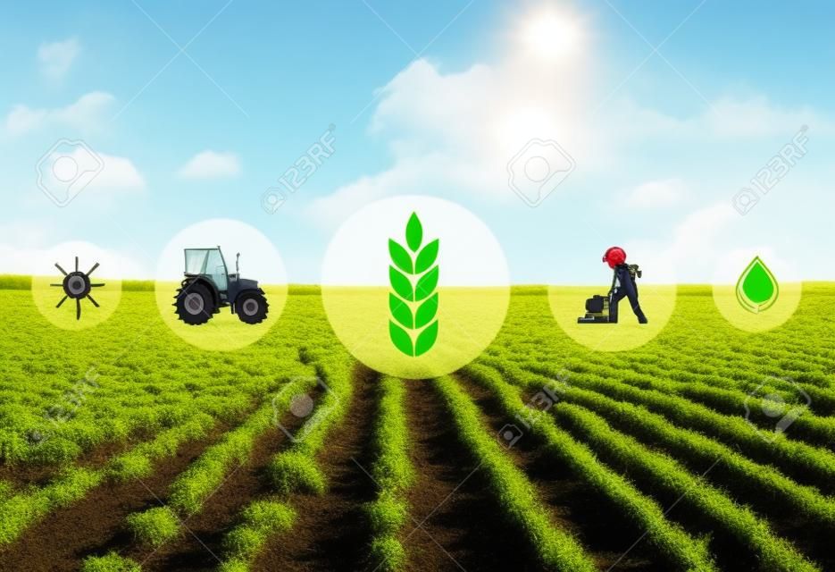 Иконки и поле на фоне. Концепция умного сельского хозяйства и современных технологий