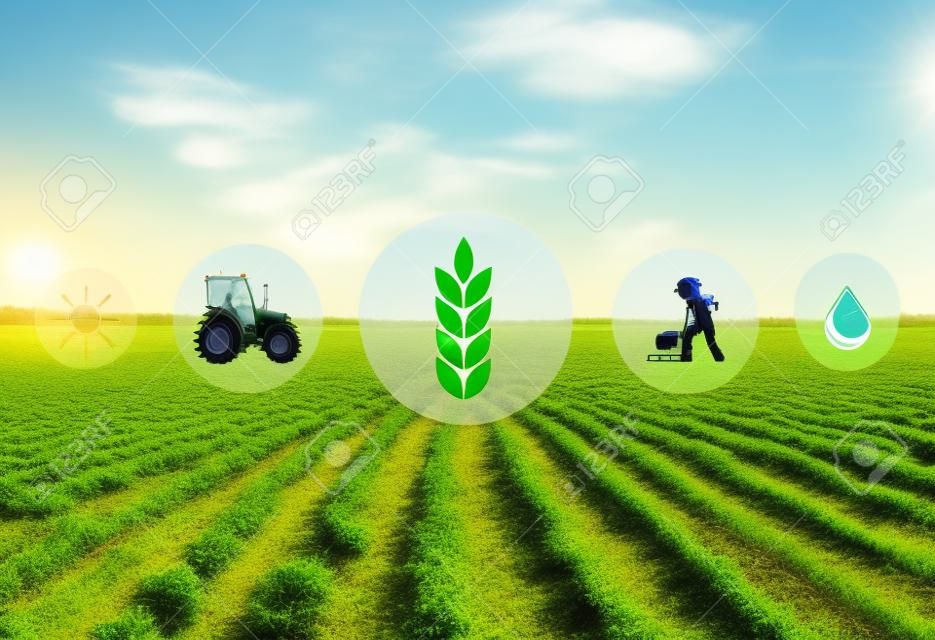 Symbole und Feld auf Hintergrund . Konzept der intelligenten Landwirtschaft und moderne Technologie