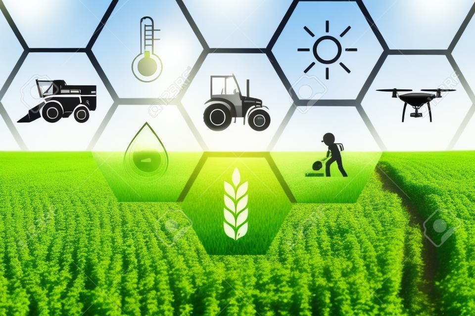 Иконки и поле на фоне. Концепция умного сельского хозяйства и современных технологий