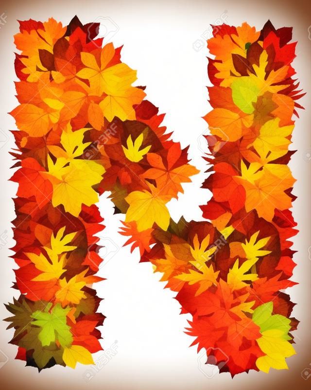 N, autumn alphabet isolated on white 