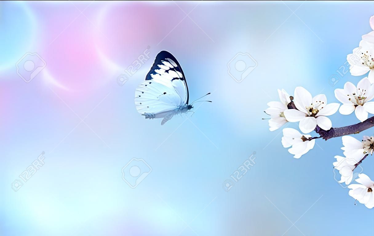 Blossom tree over nature background with butterfly. spring flowers. spring concept. Blurred background.