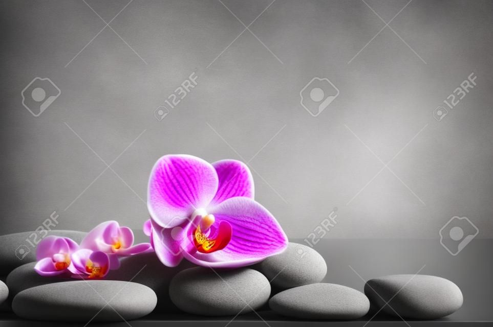 Composição com pedras de spa, flor rosa de orquídea no fundo cinza. conceito de spa.