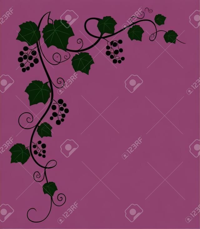 Grape vine silhouette. Vector illustration. 