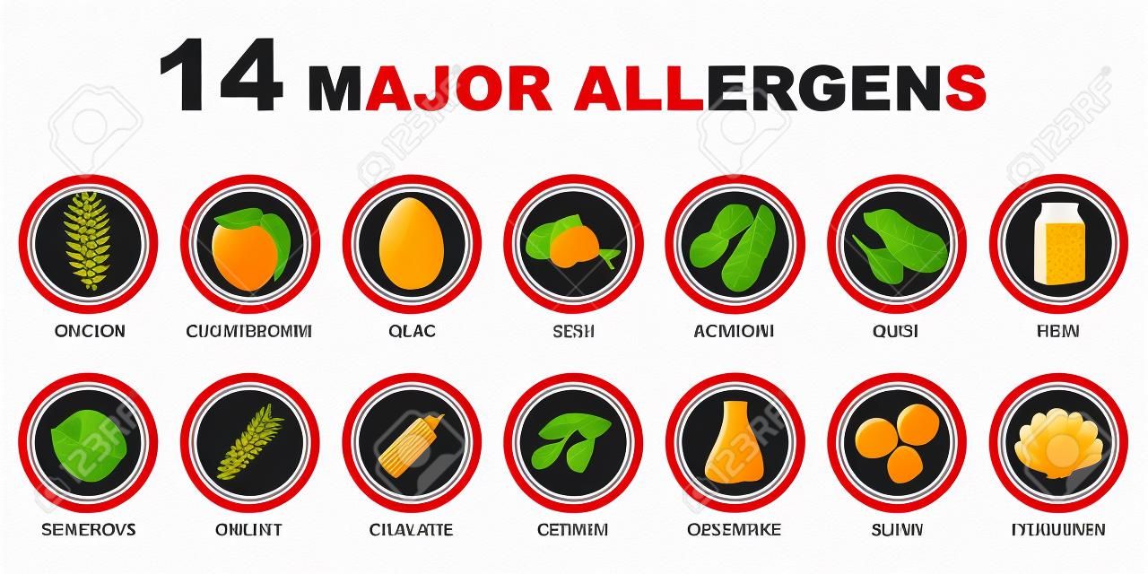 흰색 배경에 14 주요 알레르기 항원 아이콘 집합