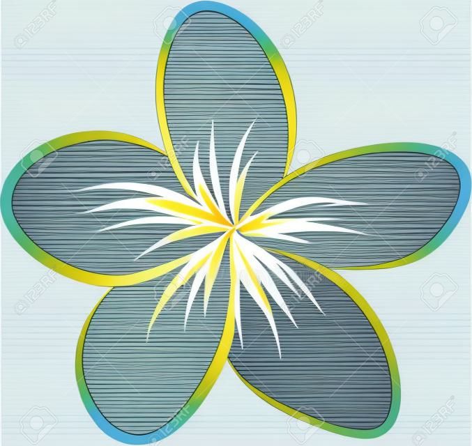図面の熱帯プルメリアの花のベクトル