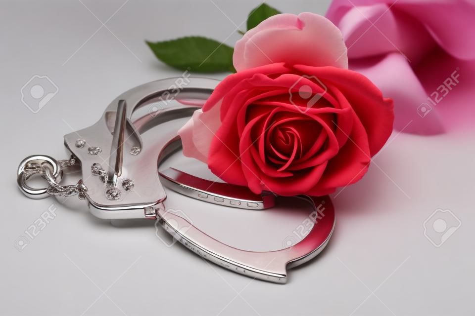 handcuffs with a rose