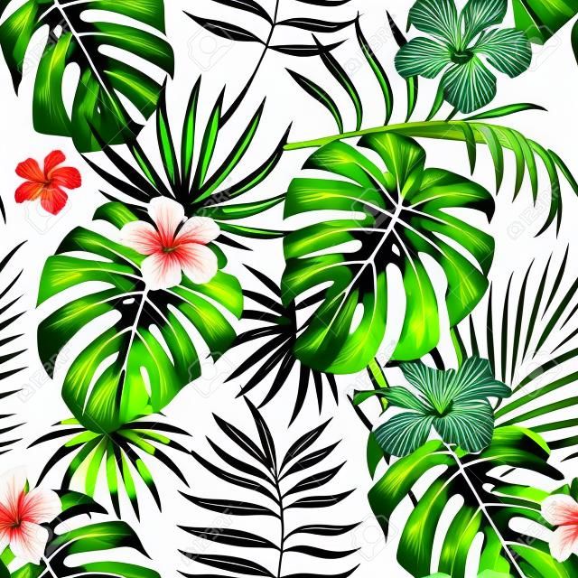 ilustración tropical plantas monstera hojas flores hibisco patrón sin fisuras fondo blanco