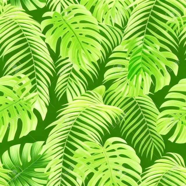 Botanical green seamless pattern leaves Fern and Monstera on white background. Exotic wallpaper design