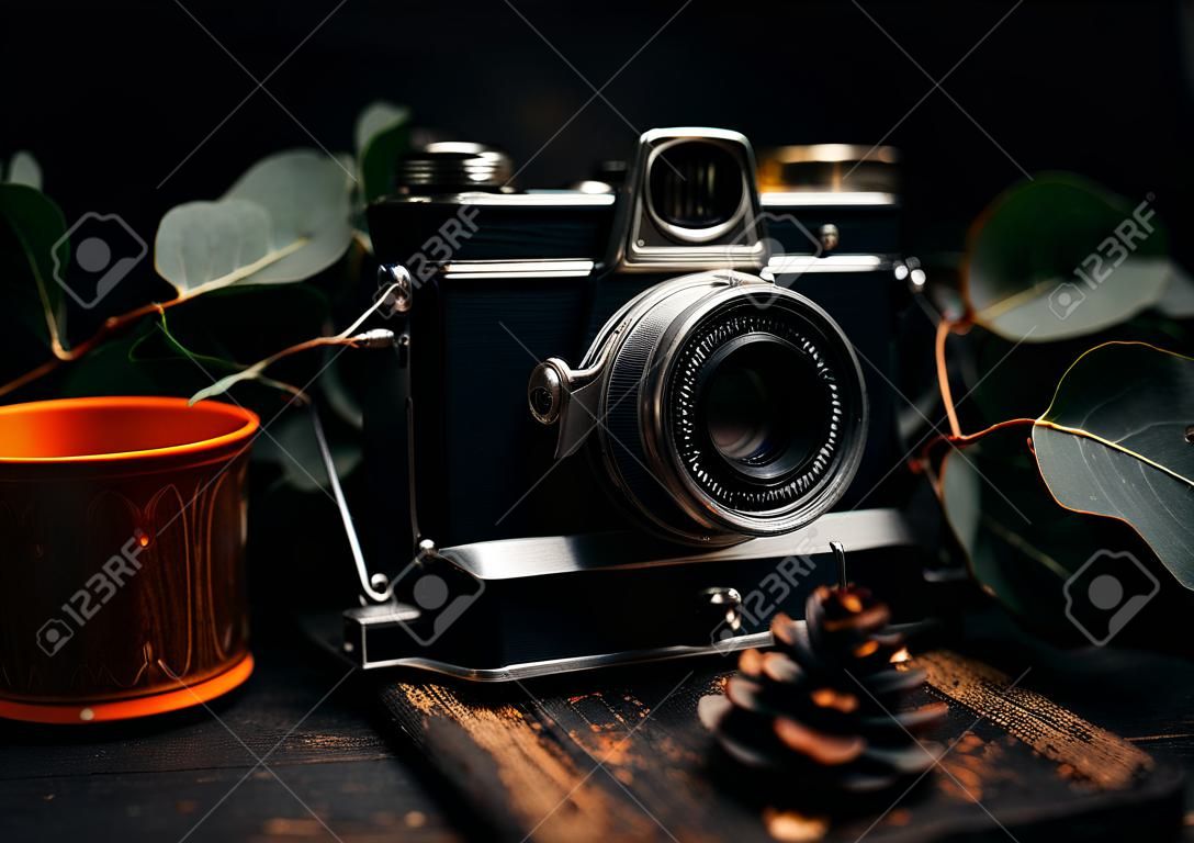 Vintage camera with eucalyptus branch on wooden background