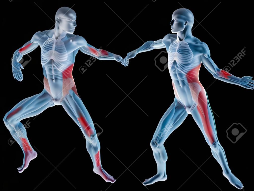 Koncepcyjne 3D Anatomia człowieka ludzkiego ciała odizolowane ból stawów