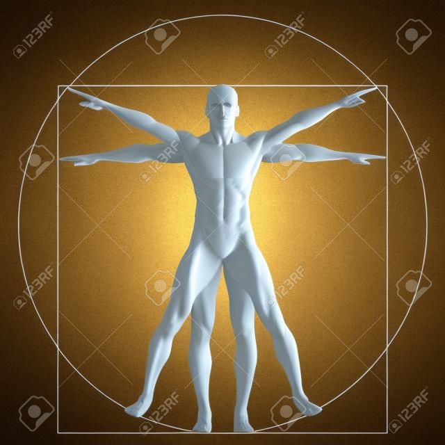 Vitruvian human or man as a concept or conceptual 3d proportion anatomy body isolated on background