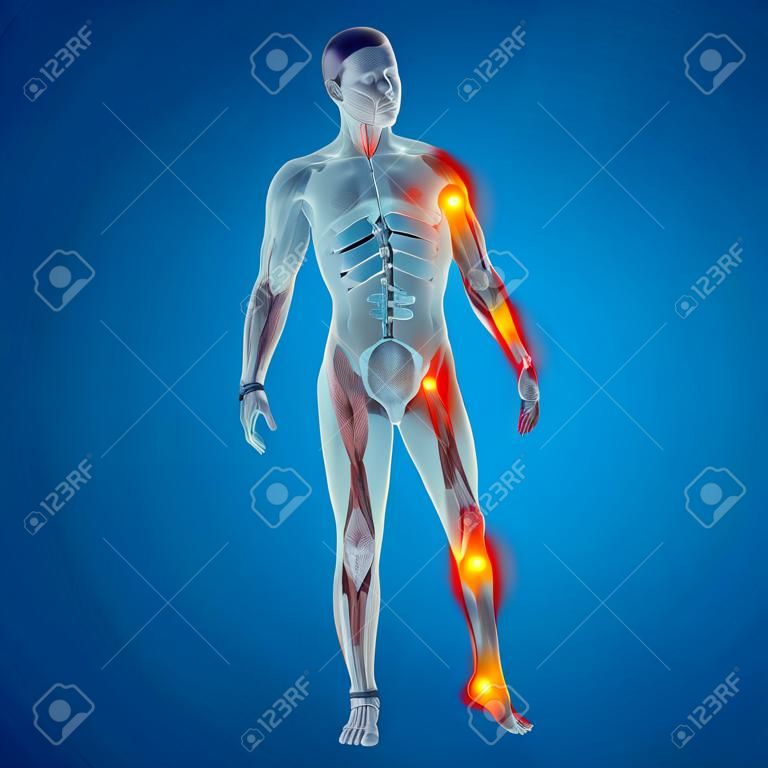 Conceptual 3D mann menschlich Anatomie Gelenkschmerzen Körper auf blauem Hintergrund