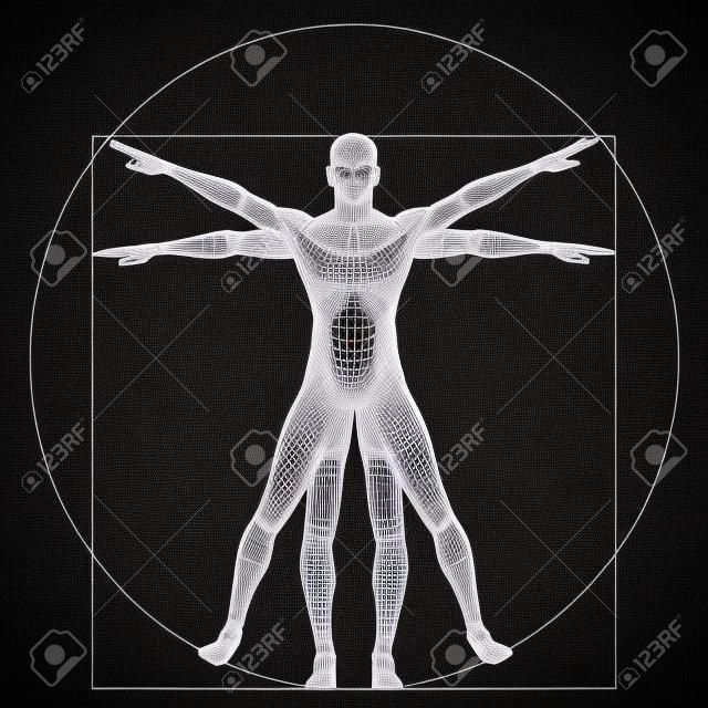 Vitruvian Menschen oder der Mensch als ein Konzept oder konzeptionelle 3D Anteil Anatomie Körper isoliert auf Hintergrund