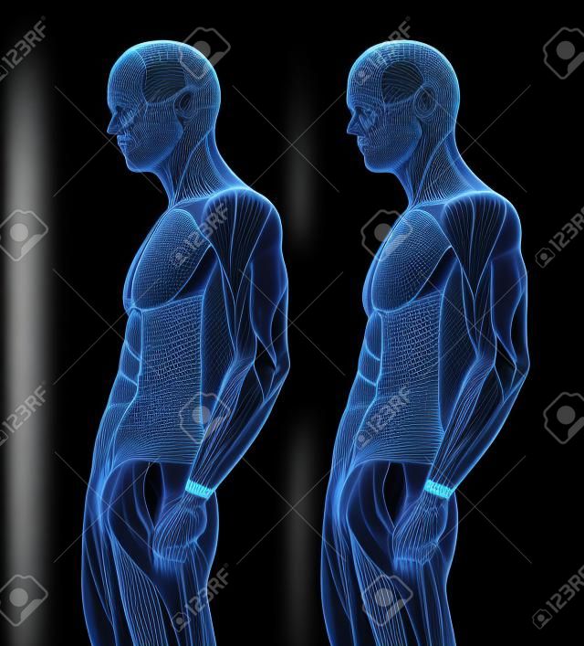 Conceito ou conceptual 3D tórax anatomia humana ou anatômica e músculo isolado no fundo preto