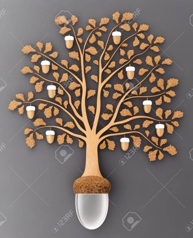 oak tree growing from acorn on white background