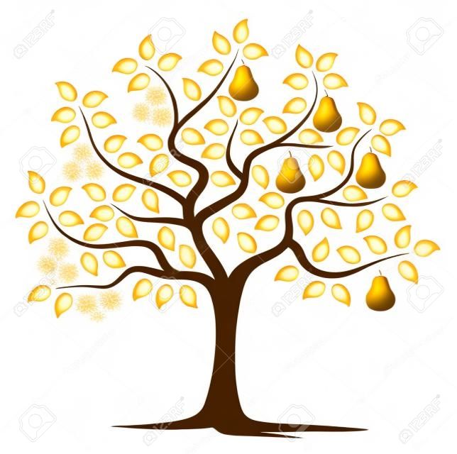 vector pear tree in two seasons isolated on white background