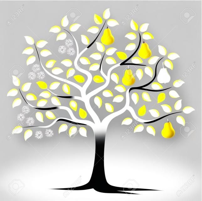 vector pear tree in two seasons isolated on white background