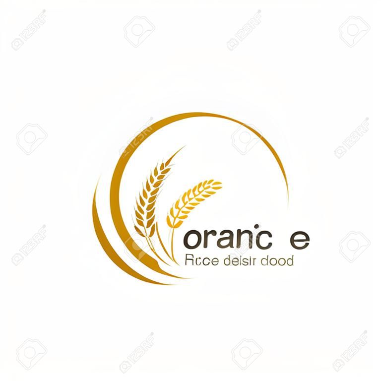 Logotipo do vetor, rótulo ou emblema do círculo do pacote com arroz amarelo, trigo, grãos de centeio. Modelo de design para agricultura asiática, produtos de cereais orgânicos, pão e padaria.