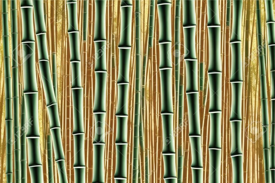 Imagen de bambú cultivado, plantación de bambú, madera de bambú, material de construcción