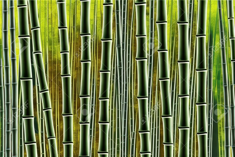 Bild von angebautem Bambus, Bambusplantage, Bambusholz, Baumaterial
