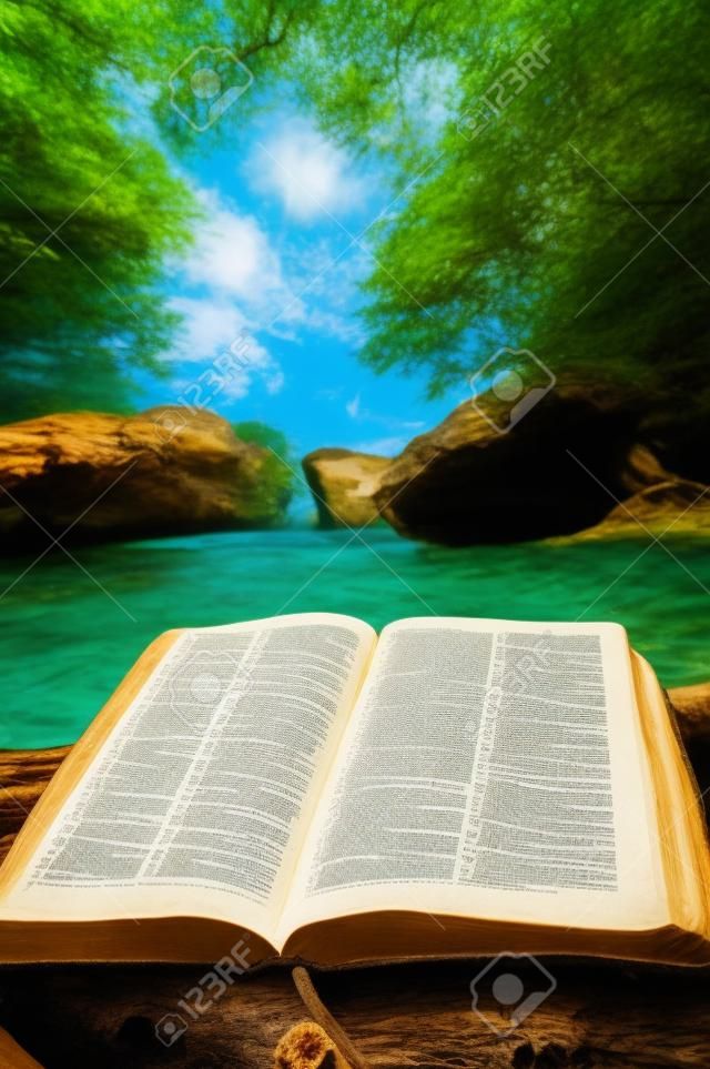 Una Bibbia aperta pone su un tronco vicino alle acque limpide fresco.