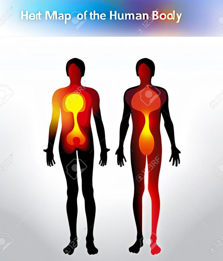 heat map of the human body depending on the emotion