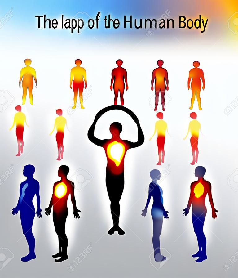 hő térkép az emberi test függően érzelem