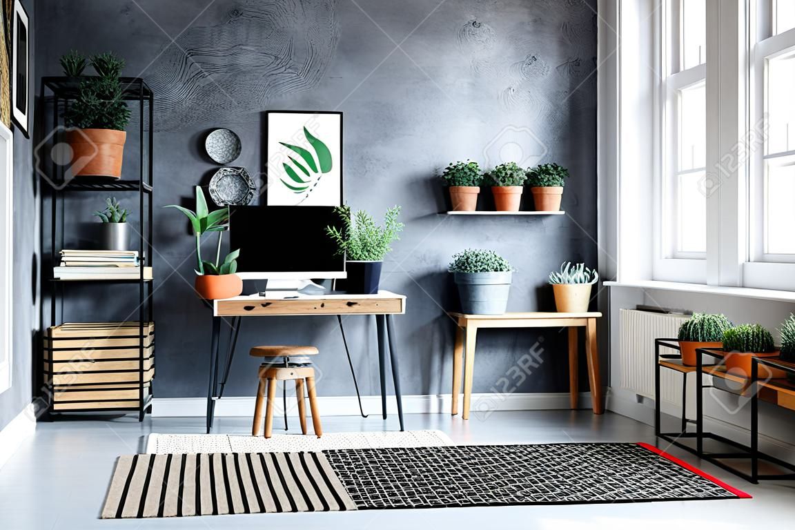 白の床の模様のカーペットで芸術的なホーム オフィスで黒スツールに金属製のバケツで植物します。
