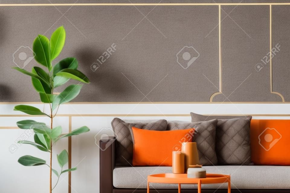 Ficus accanto al divano marrone con cuscini arancioni all'interno del soggiorno grigio con tavolo. Foto reale