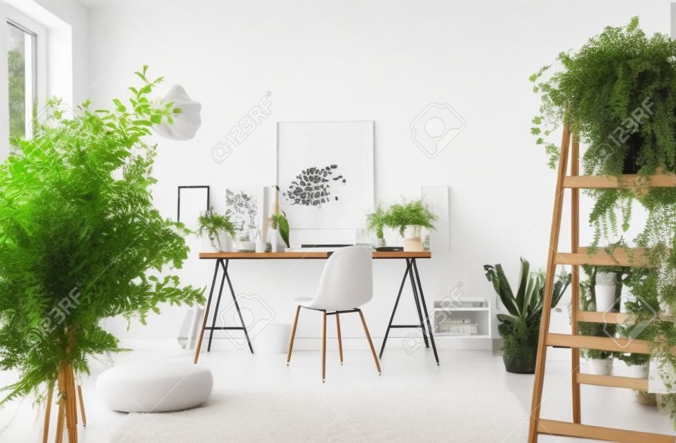 Растения в белом просторном интерьере домашнего офиса с пуфом на ковре возле серого стула за столом. Реальное фото