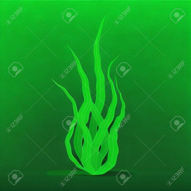 Alga Spirulina verde 3d dettagliata realistica. Vettore