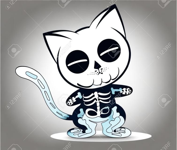 Illustrations of skeleton cat action on white background, Animals action vector.