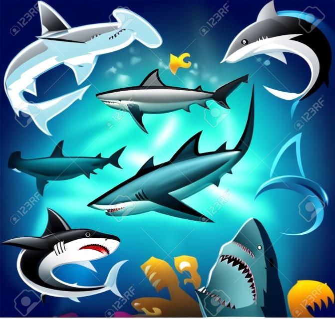 Colección de tiburón