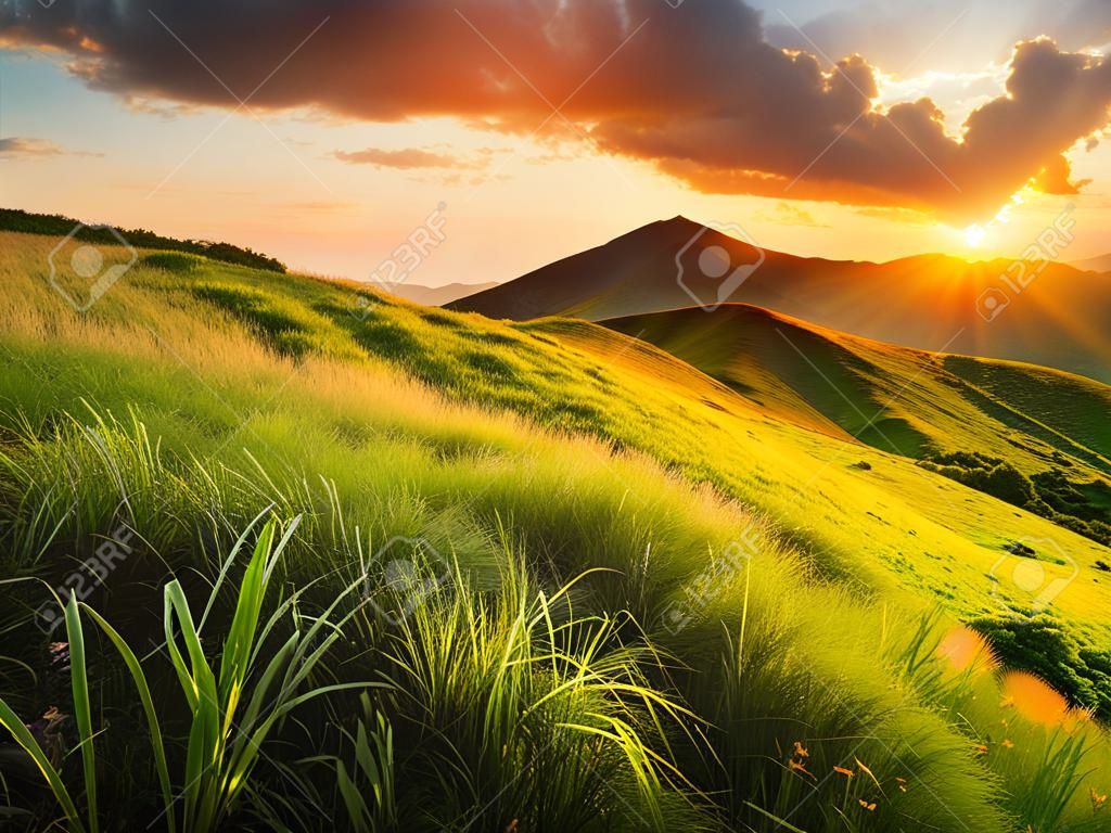 Mountain field during sunset. Beautiful natural landscape
