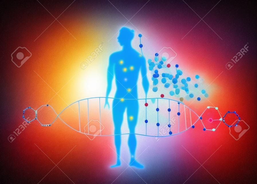 molecule abstract body concept of the human DNA chemistry science illustration