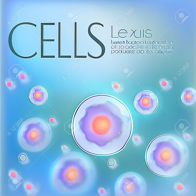 Cells illustration background. Vector.