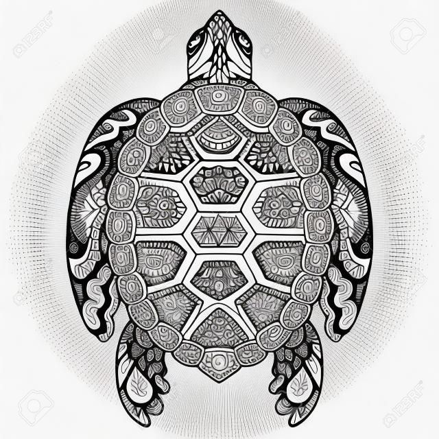 Zendoodle design of turtle for design element,t shirt design and coloring book page for adult