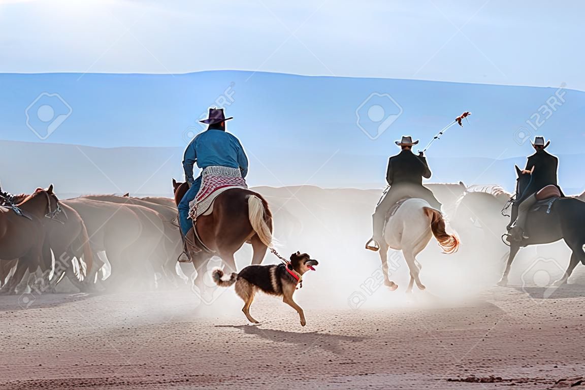 A cowboy with his dog in a desert horse riding competition.