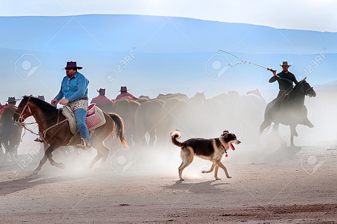 Un vaquero con su perro en una competencia de equitación en el desierto.