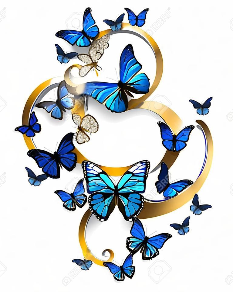 figura oito de ouro, decorado com morfo borboletas azuis realistas em um fundo branco. Design com borboletas. Morpho. Design com morfo borboletas azuis.