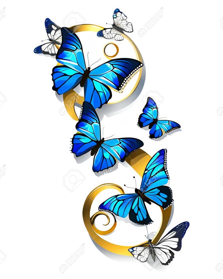 figure eight of gold, decorated with realistic blue butterflies morpho on a white background. Design with butterflies. Morpho. Design with blue butterflies morpho.
