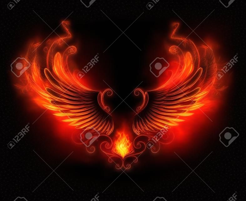 Wings of fire and flame on black background.
