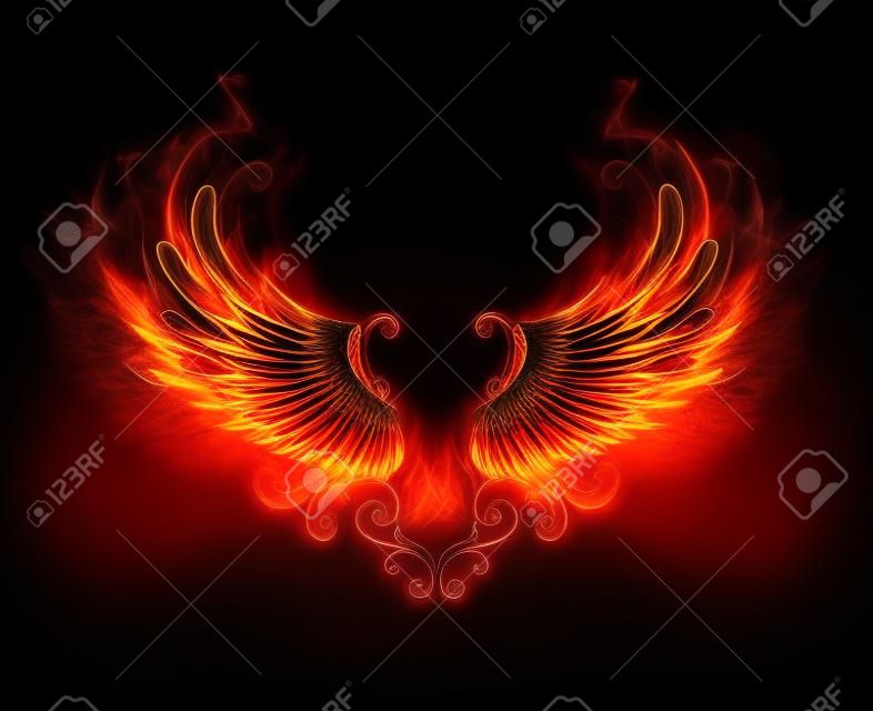 Wings of fire and flame on black background.
