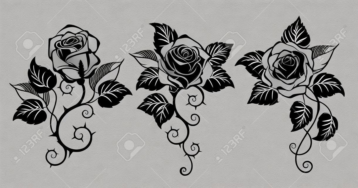 흰색 배경에 검은 잎이 있는 3개의 예술적으로 그려진 컨투어, 검은색, 가시가 많은 장미. 장미 디자인. 고딕 스타일.