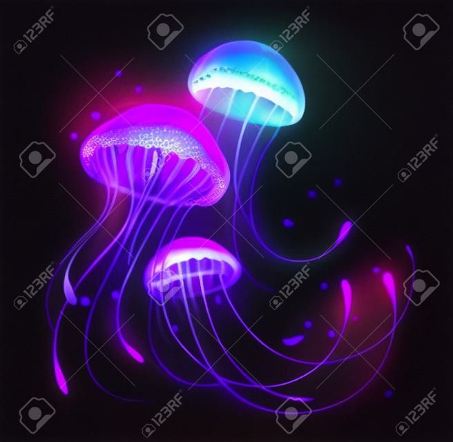Tres, artísticamente dibujadas, brillantes, medusas brillantes, con largos tentáculos sobre fondo negro con bioluminiscencia púrpura. medusas luminosas.