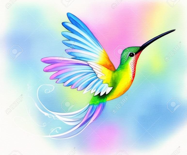 흰색 배경에 밝고 무지개 빛깔의 이국적인 날아다니는 벌새가 여러 가지 색의 수채화 물감으로 칠해져 있습니다. 무지개 벌새.